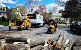 Best Commercial Tree Services  in Eaton, IN